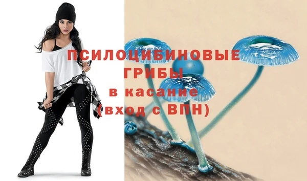 мескалин Аркадак