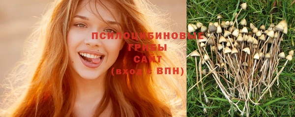 мескалин Аркадак